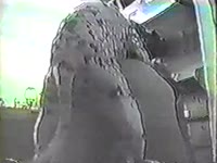 Beastie gal got smashed and pounded by dog's hard dick